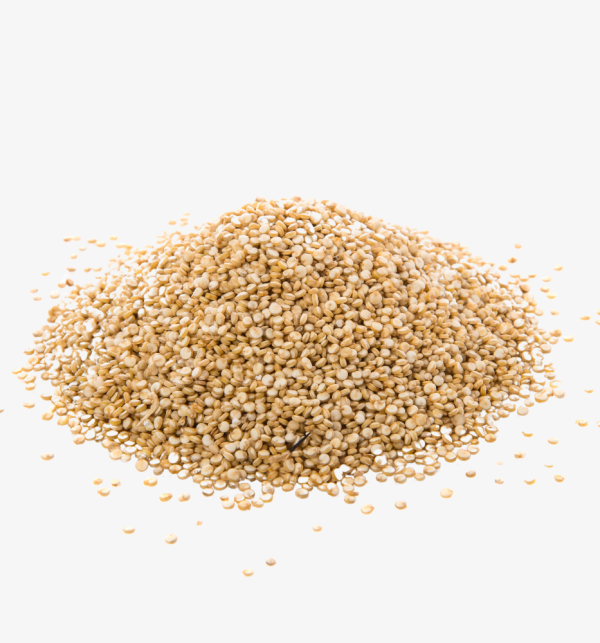 Quinoa Blanca
